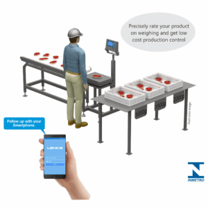 LK-205.C1 – Static Wheighing Grader